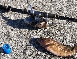 風が強くて内港にて