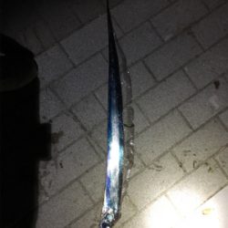 風と寒さに耐え