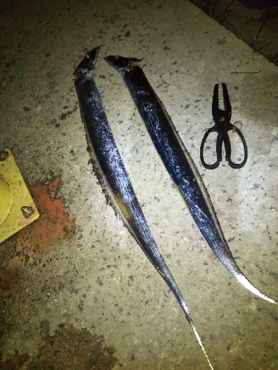 活性は高くないが人は多い