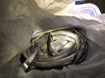 タチウオ釣行その2