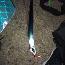 須磨海岸のショアタチウオでドラゴン???