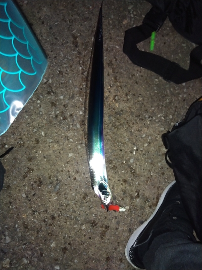 須磨海岸のショアタチウオでドラゴン???