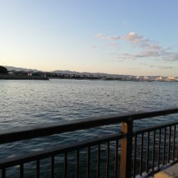 子供と一緒に刀狩り