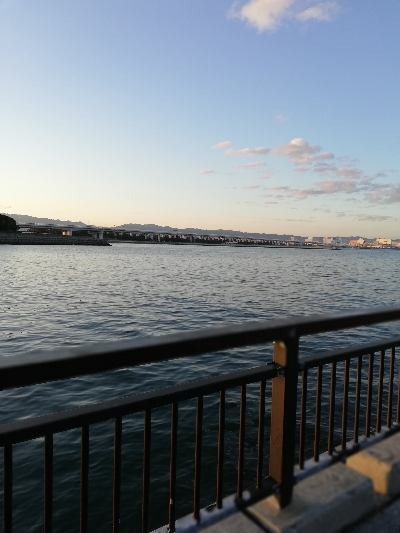 子供と一緒に刀狩り