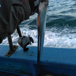 初の船の太刀魚テンヤ