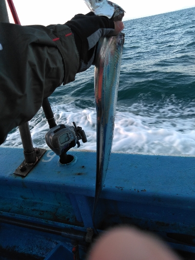 初の船の太刀魚テンヤ