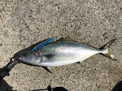 ルアーマンの意地