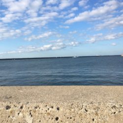 渋かった 寒かった（苦笑）