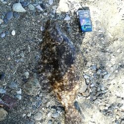 地磯からジギング