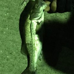 またまた5種目達成！