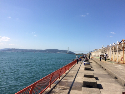 平磯で紅葉狩り