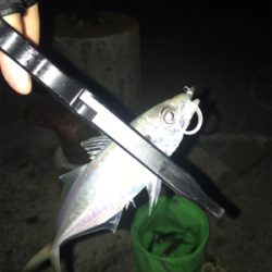 モーニングアジング