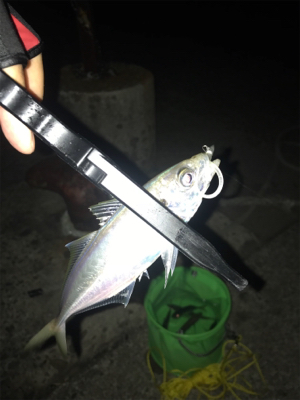 モーニングアジング