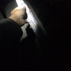 大浦漁港でタチウオ