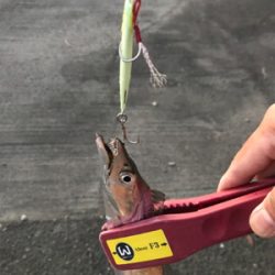 ラインブレイク時合い短い。