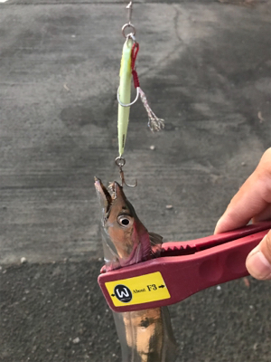 ラインブレイク時合い短い。