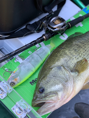 どストライク！！