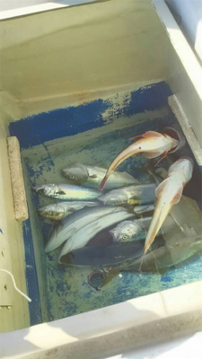 プライベートボートで相馬沖