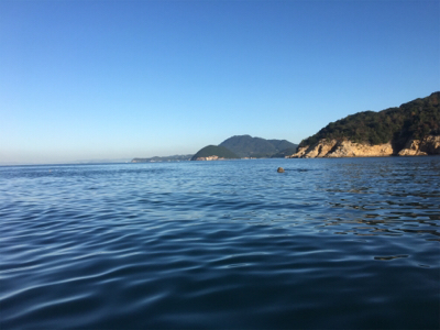 カヤックフィッシングでエソのちマゴチ