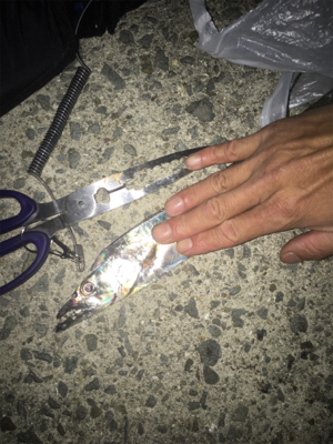 ラインbreakばかりで