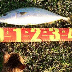 LSJigginger0630〜0730