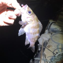 最近ずっとバラしまくり