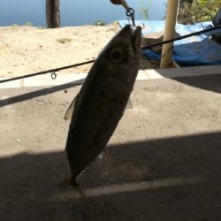 今日もサバゲー