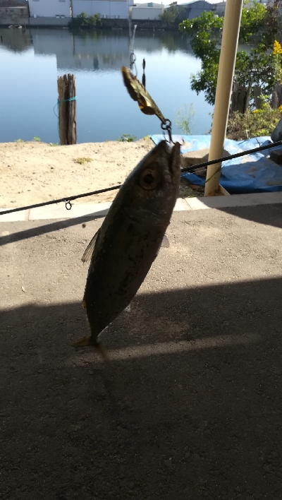 今日もサバゲー