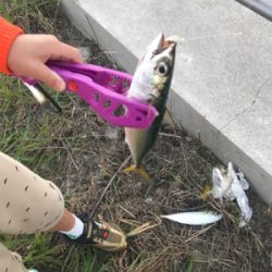 大阪湾奥ワインド 秋本番!鶴浜緑地で高活性