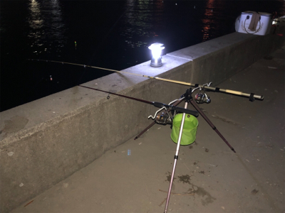 神戸に久々の五目釣り