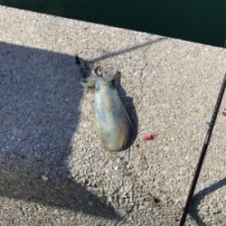 釣りガールへの道