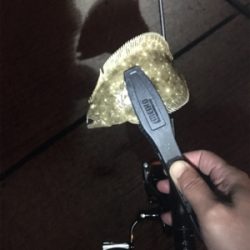 ラインブレーク