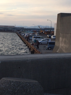 マリンピア沖洲のタチウオ