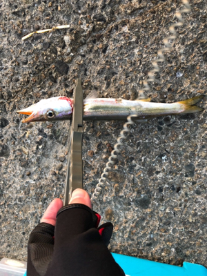 日中のライトゲーム