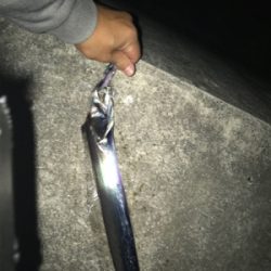 寒くなってきました‼︎