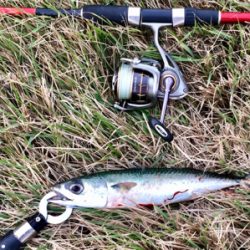 LSJigginger0600〜0730