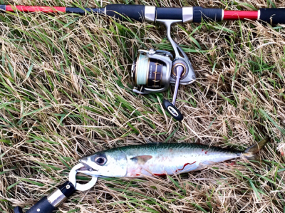 LSJigginger0600〜0730