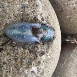 ランガンするも、、、