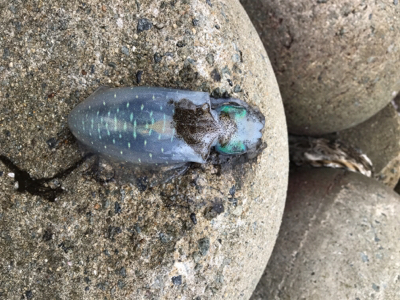 ランガンするも、、、