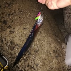 買ったばかりのジグ…