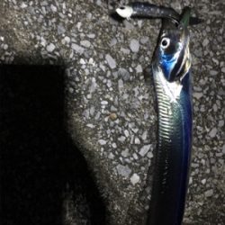 朝と夕方どっちもあかん