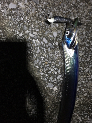 朝と夕方どっちもあかん