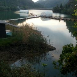 佐仲ダム　ワカサギ