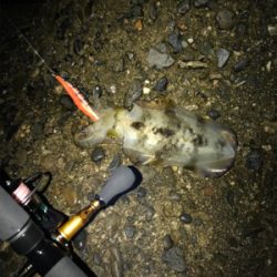 雨強く心折れました