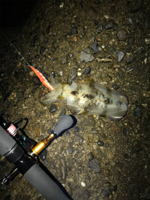 雨強く心折れました