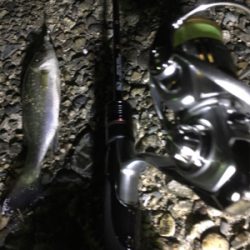 短時間ライトゲーム