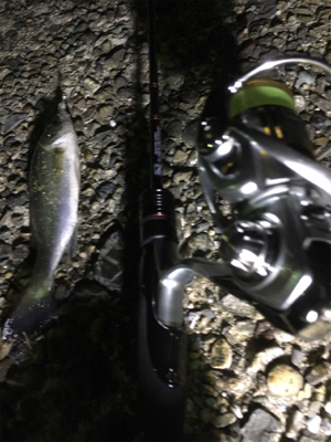 短時間ライトゲーム