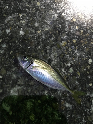 五目ライトゲーム