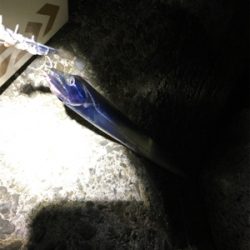 爆風！大荒れ！！爆釣