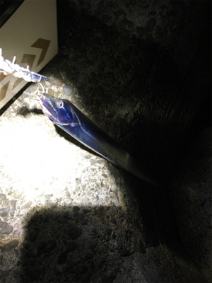 爆風！大荒れ！！爆釣